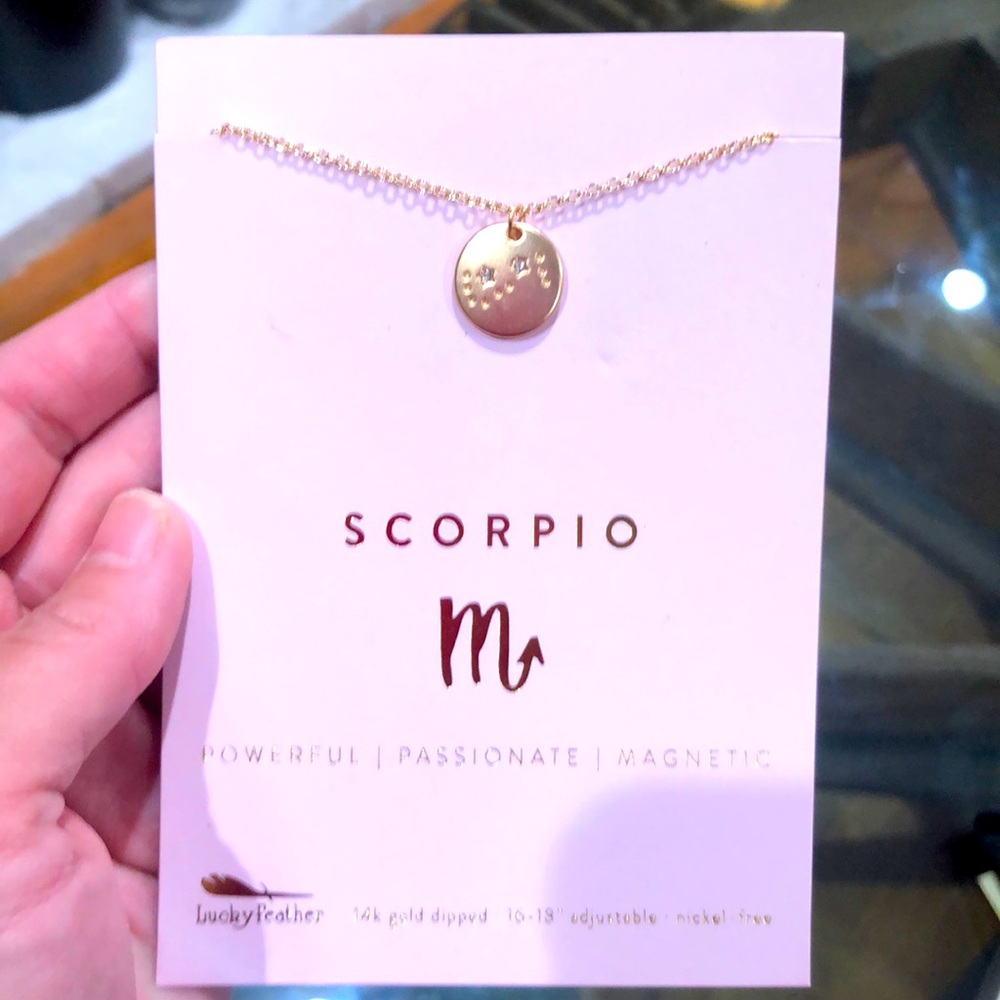 Scorpio necklace 14k dipped
